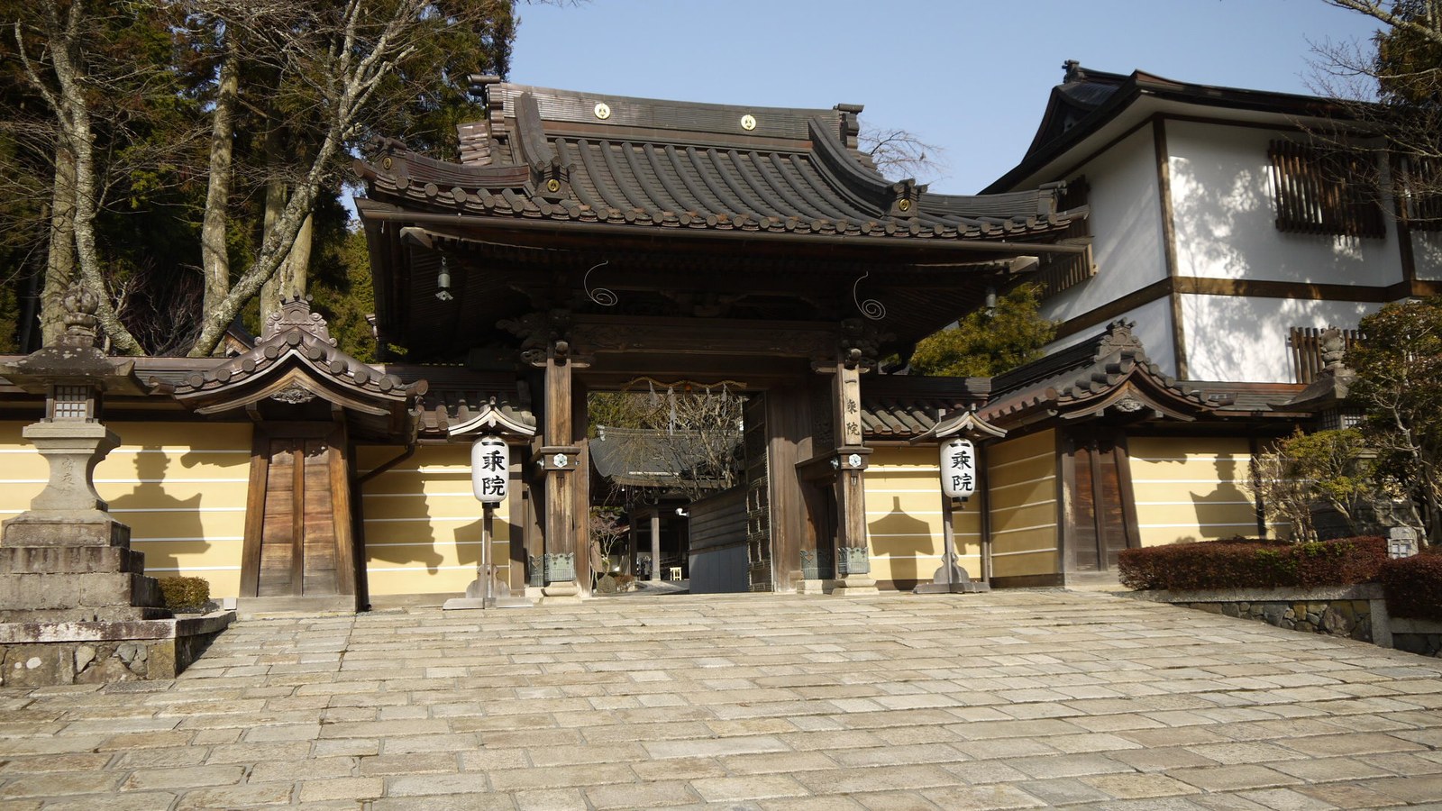 高野山奥之院の杉並木の参道