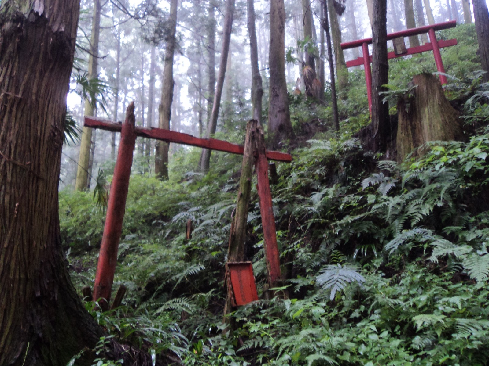 和歌山県九度山町の真田庵（善名称院）