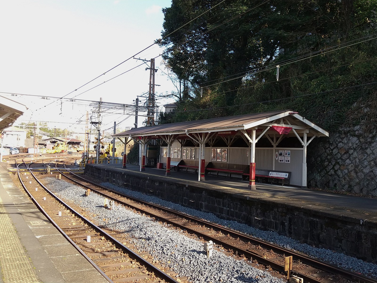 和歌山県九度山町の柿畑