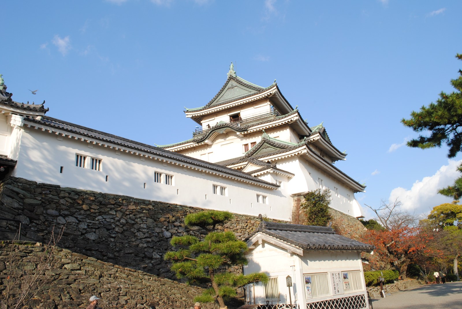 有田市のみかん畑の風景