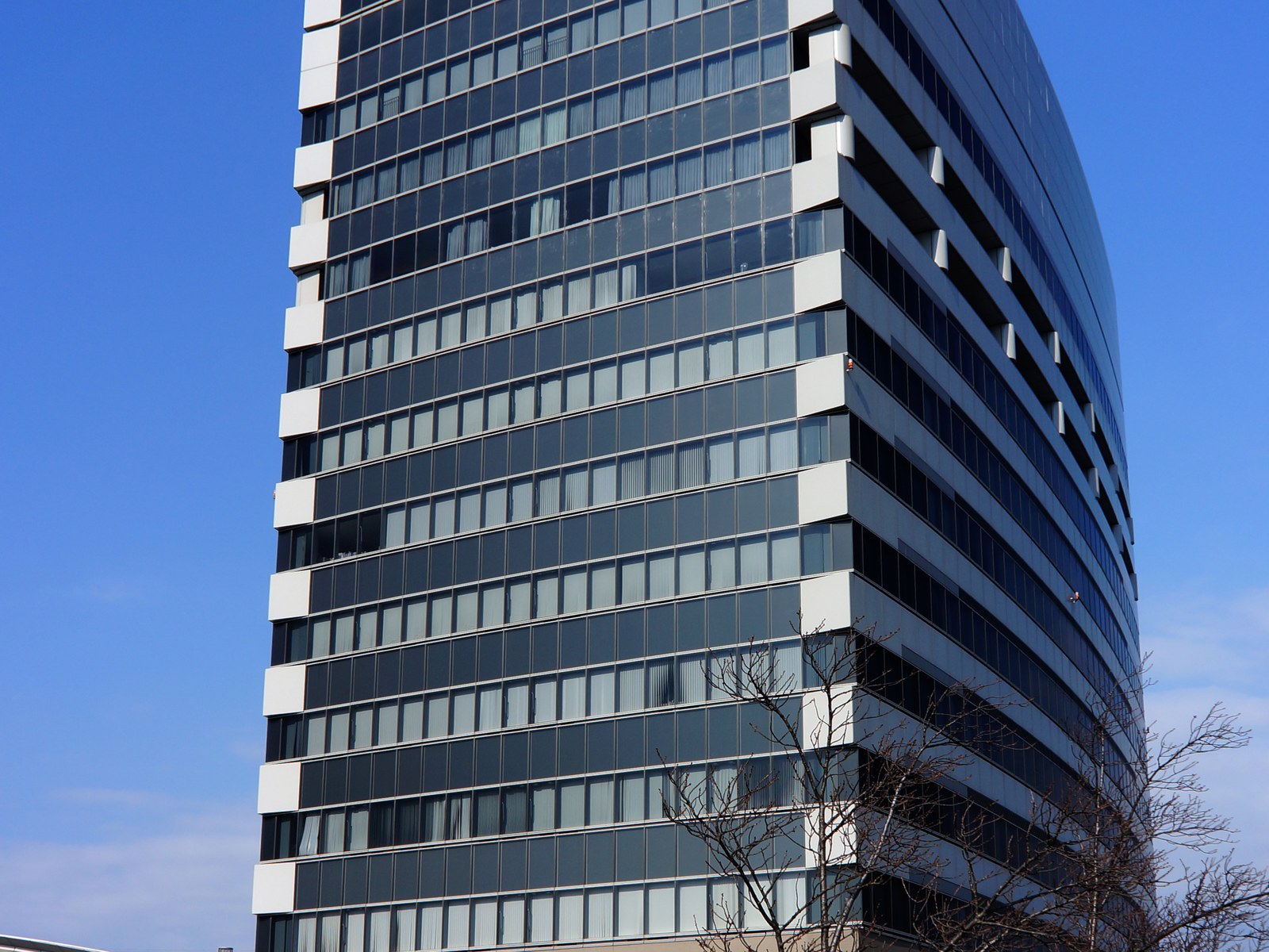 和歌山県社会福祉協議会が入る県民交流プラザ和歌山ビッグ愛